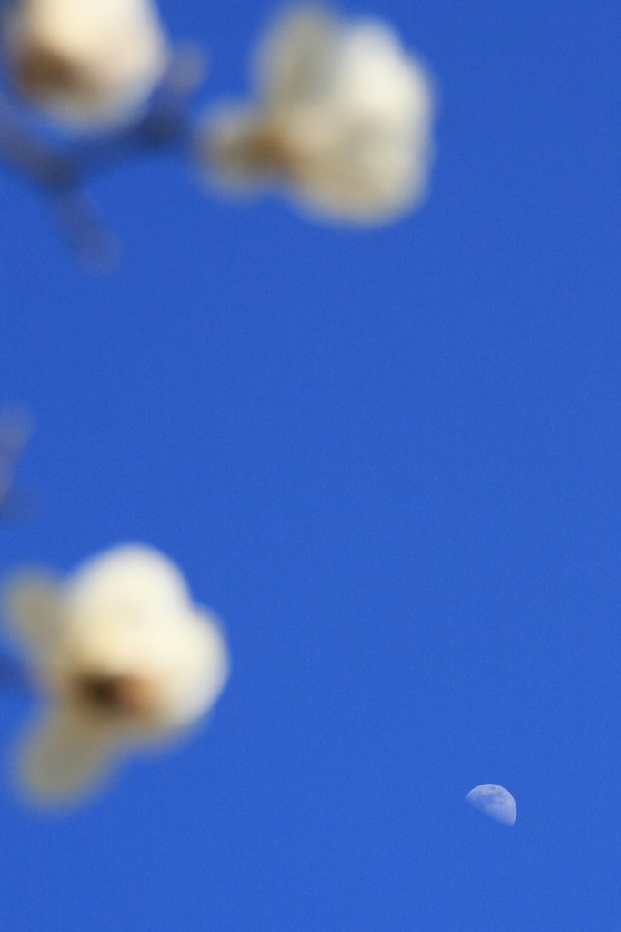 [トキメキの色]青空
