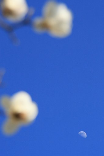 [トキメキの色]青空