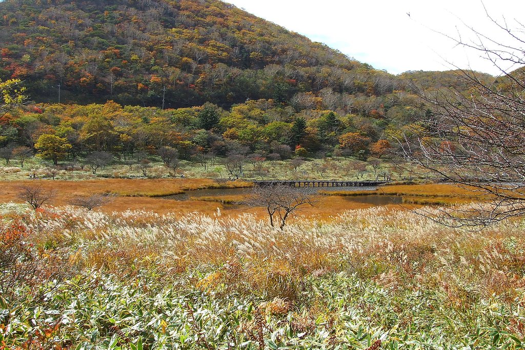 覚満淵の秋
