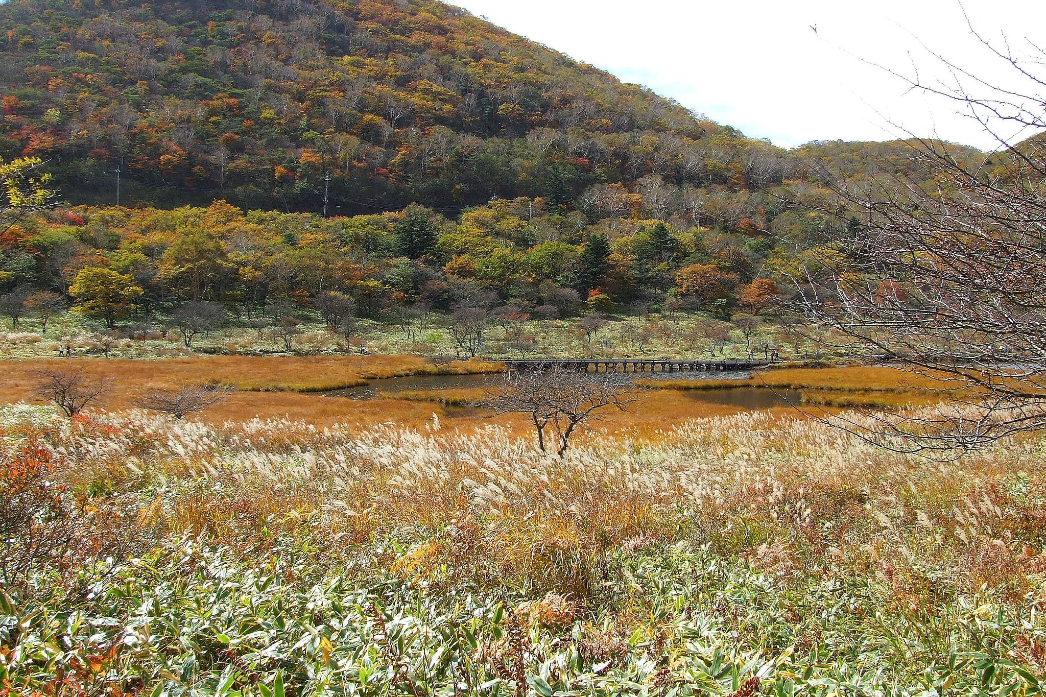 覚満淵の秋