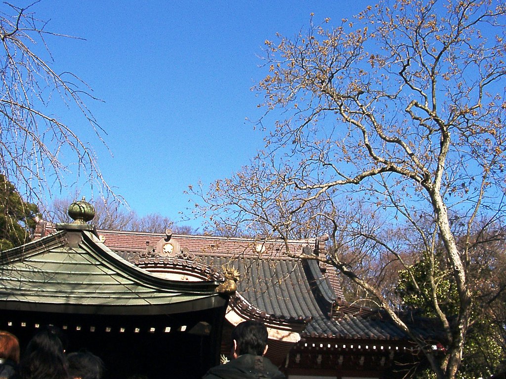 ●初春スケッチ-04　深大寺④