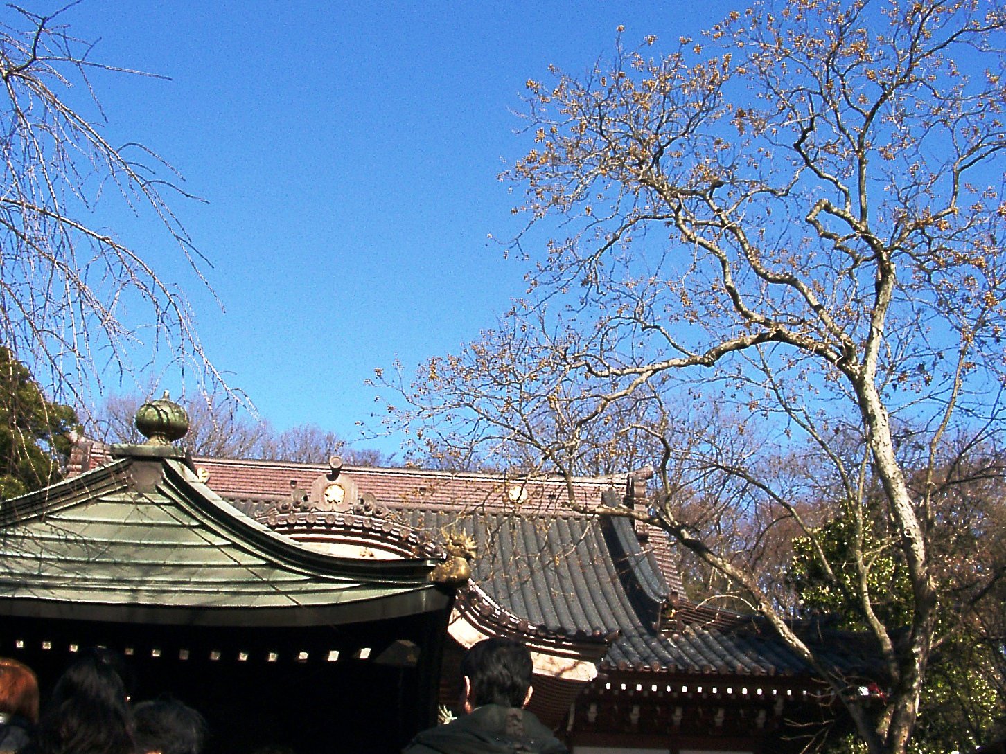 ●初春スケッチ-04　深大寺④
