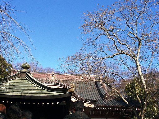 ●初春スケッチ-04　深大寺④