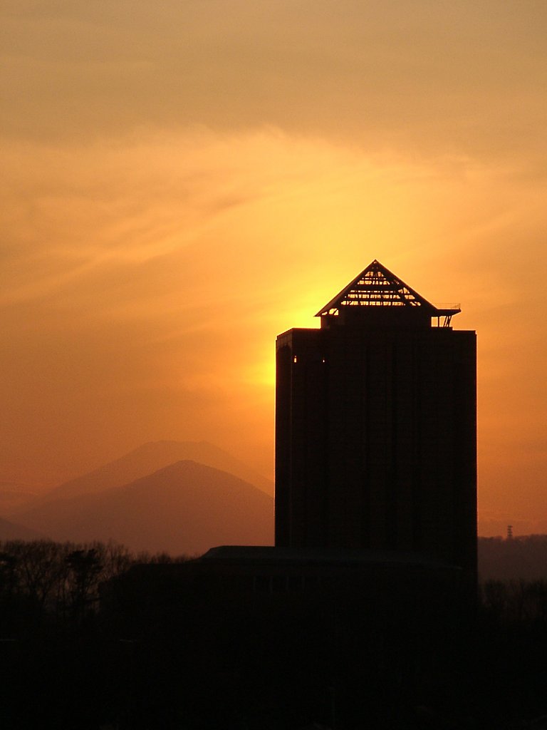 ▲日本画風の夕暮れ-20