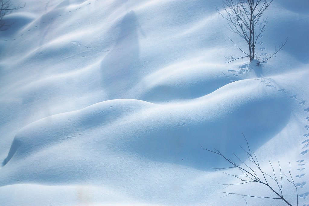 雪の曲線