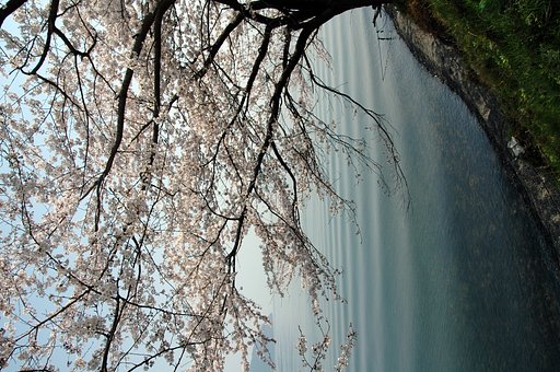 海津大崎から