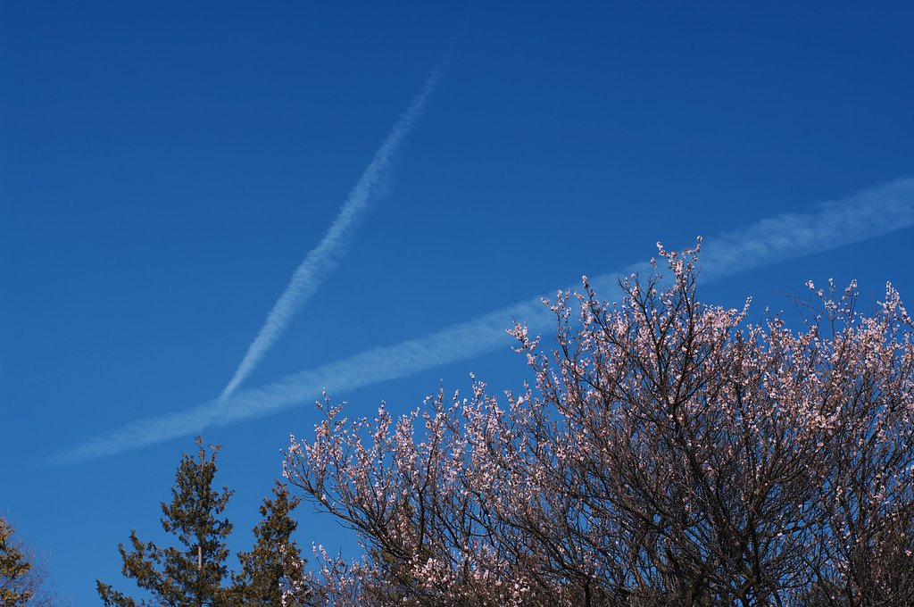 青空とｙ・・・