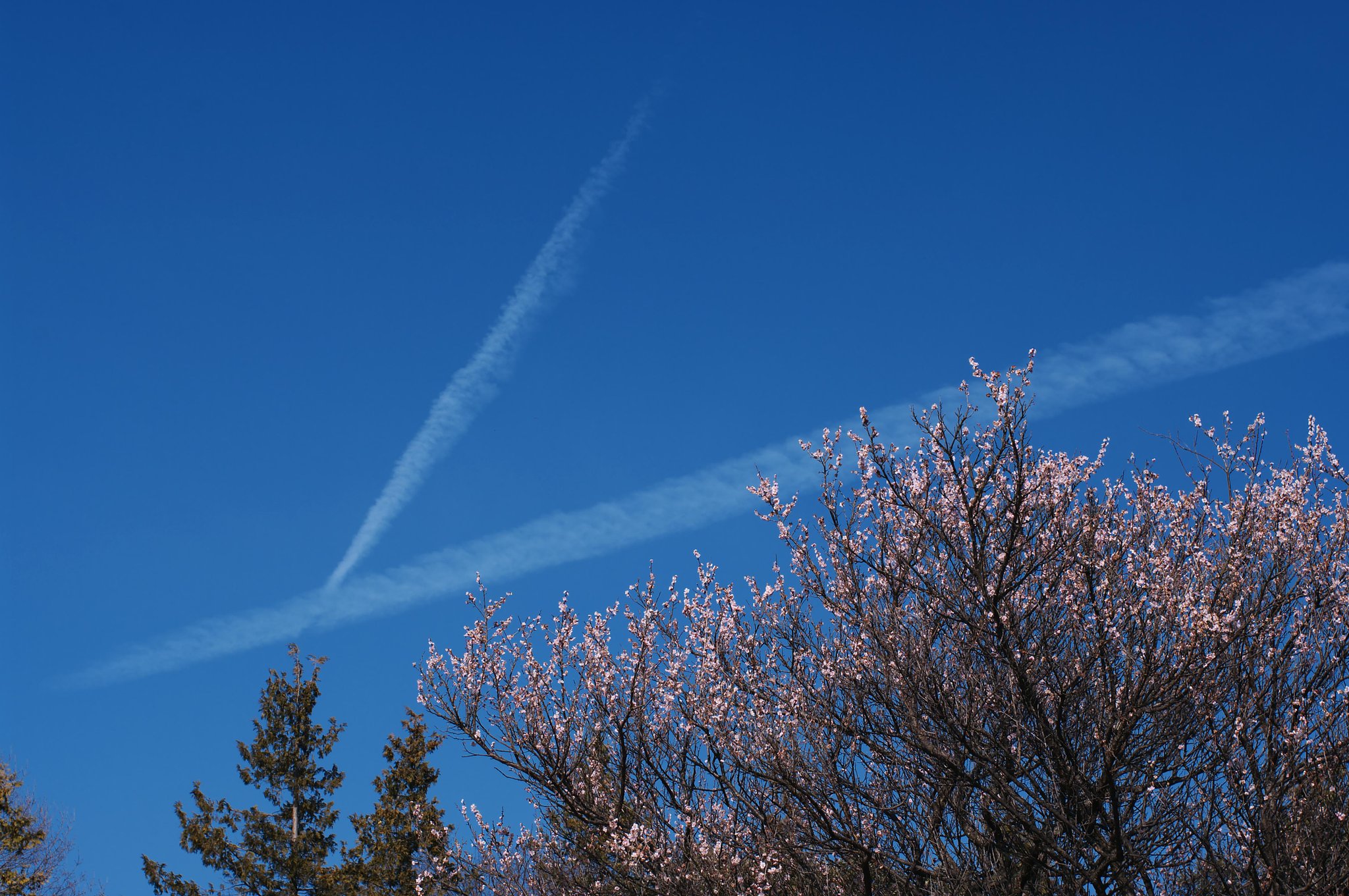 青空とｙ・・・