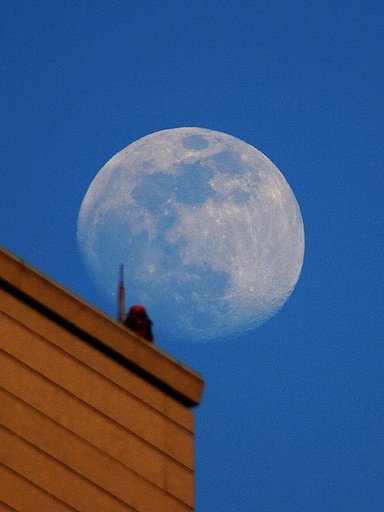 「CITY MOON」