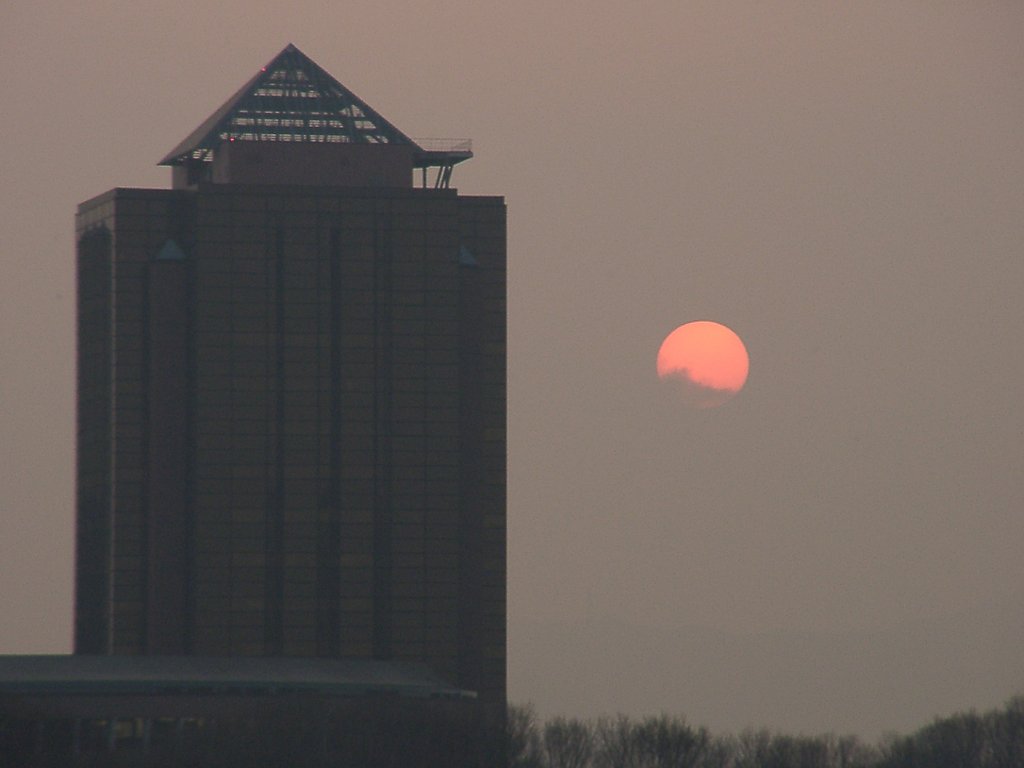 ▲日本画風の夕暮れ-27