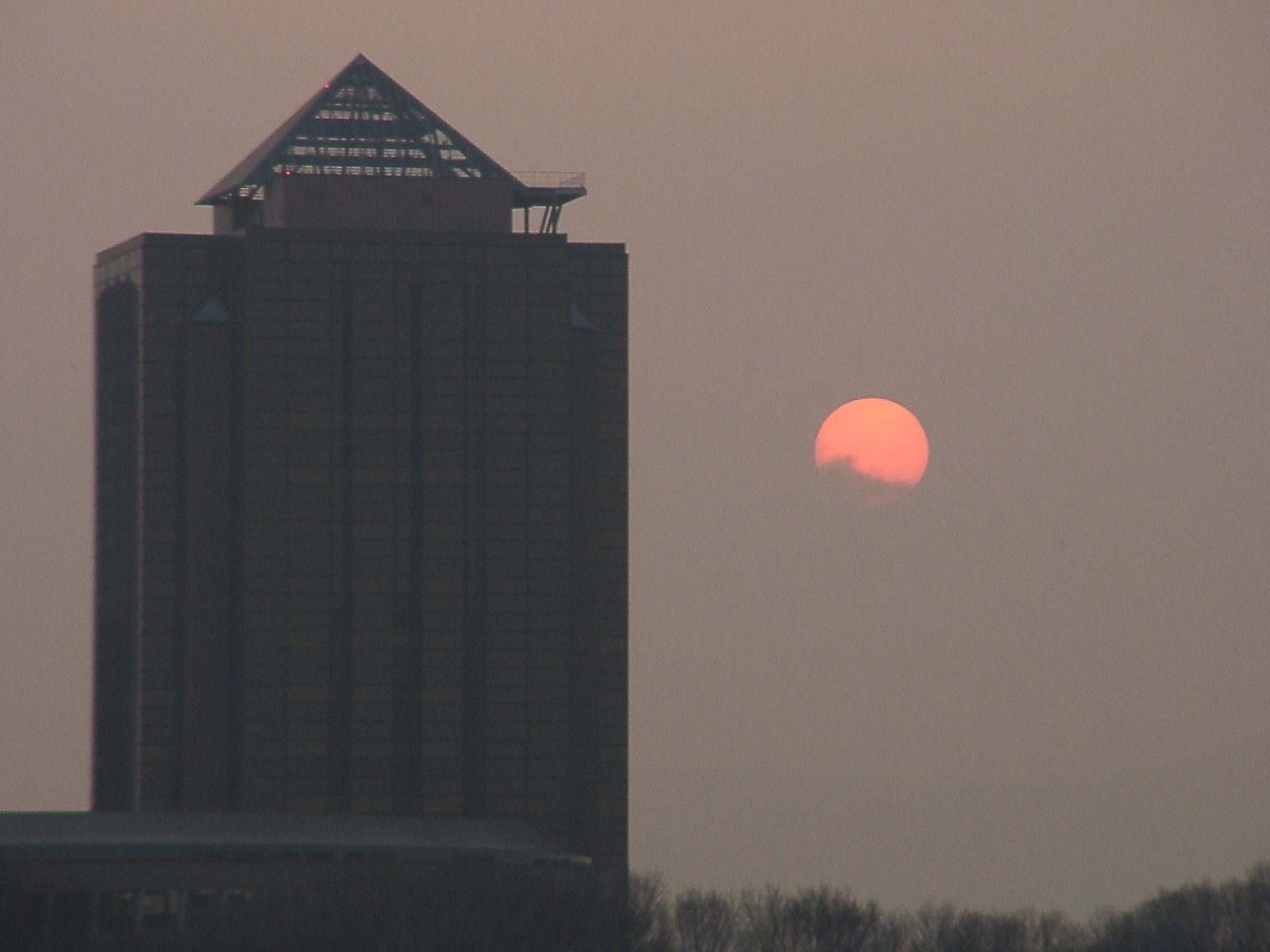 ▲日本画風の夕暮れ-27