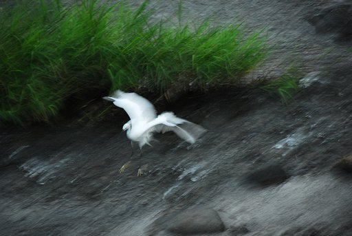 着水