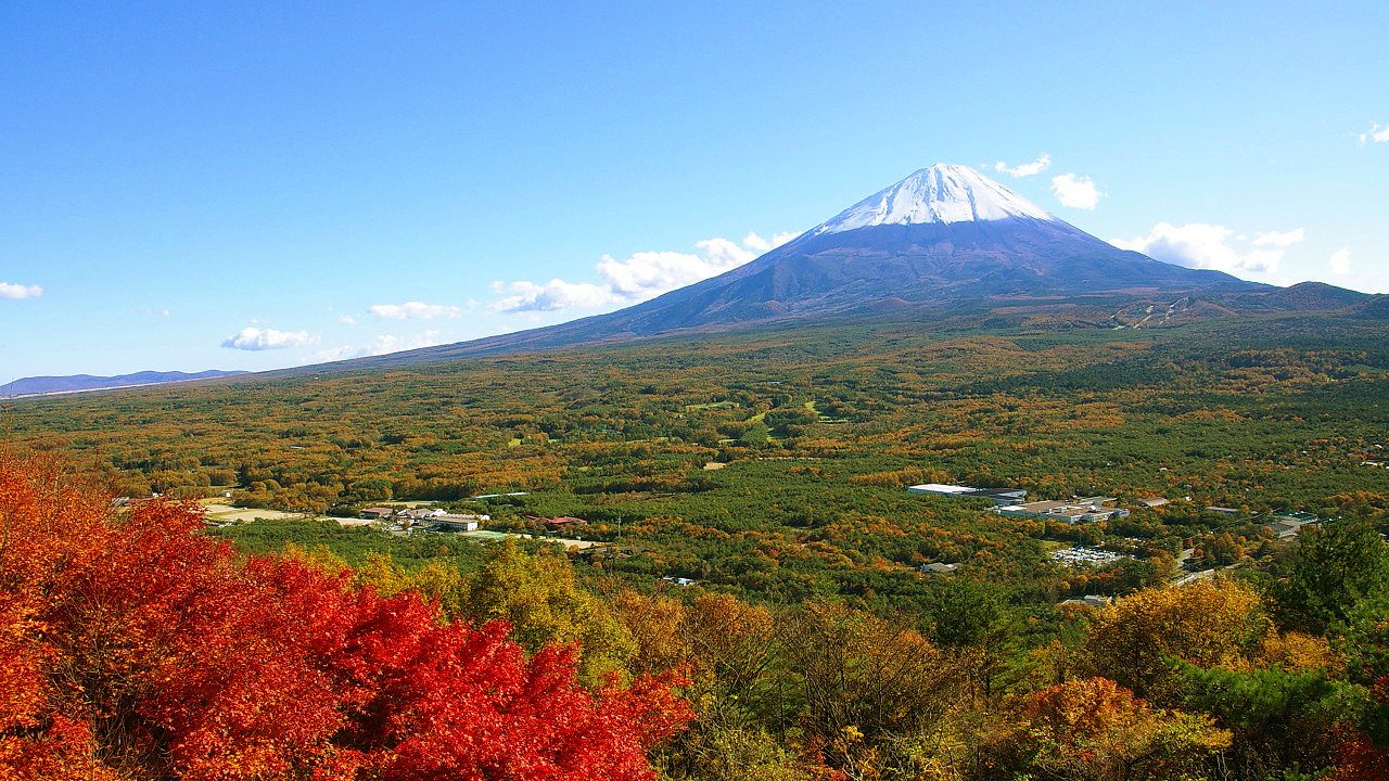 紅葉台の富士