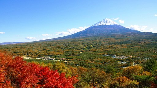 紅葉台の富士