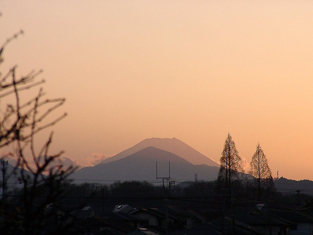 ▲日本画風の夕暮れ-29