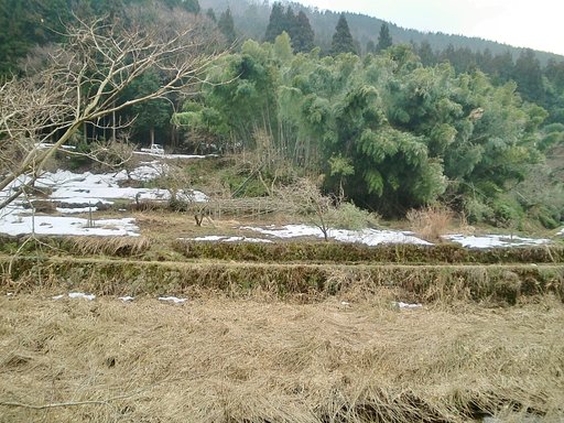 川向こうから見た小黒見の畑