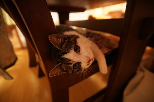 はい、こっち向いて！