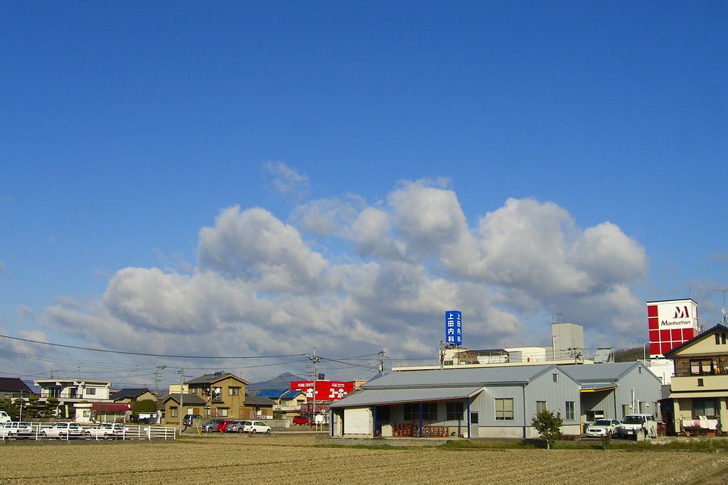 冬晴れ
