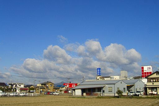 冬晴れ