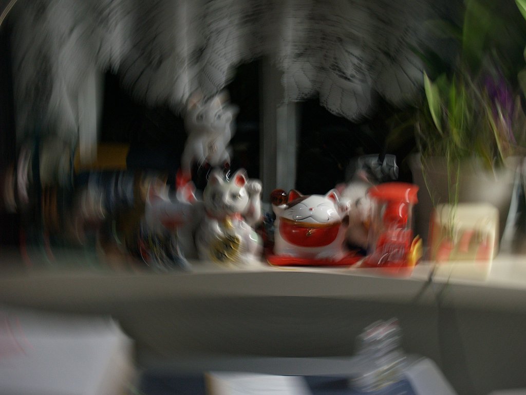 室内で実験く〜ん