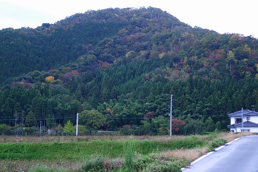 田舎も紅葉！