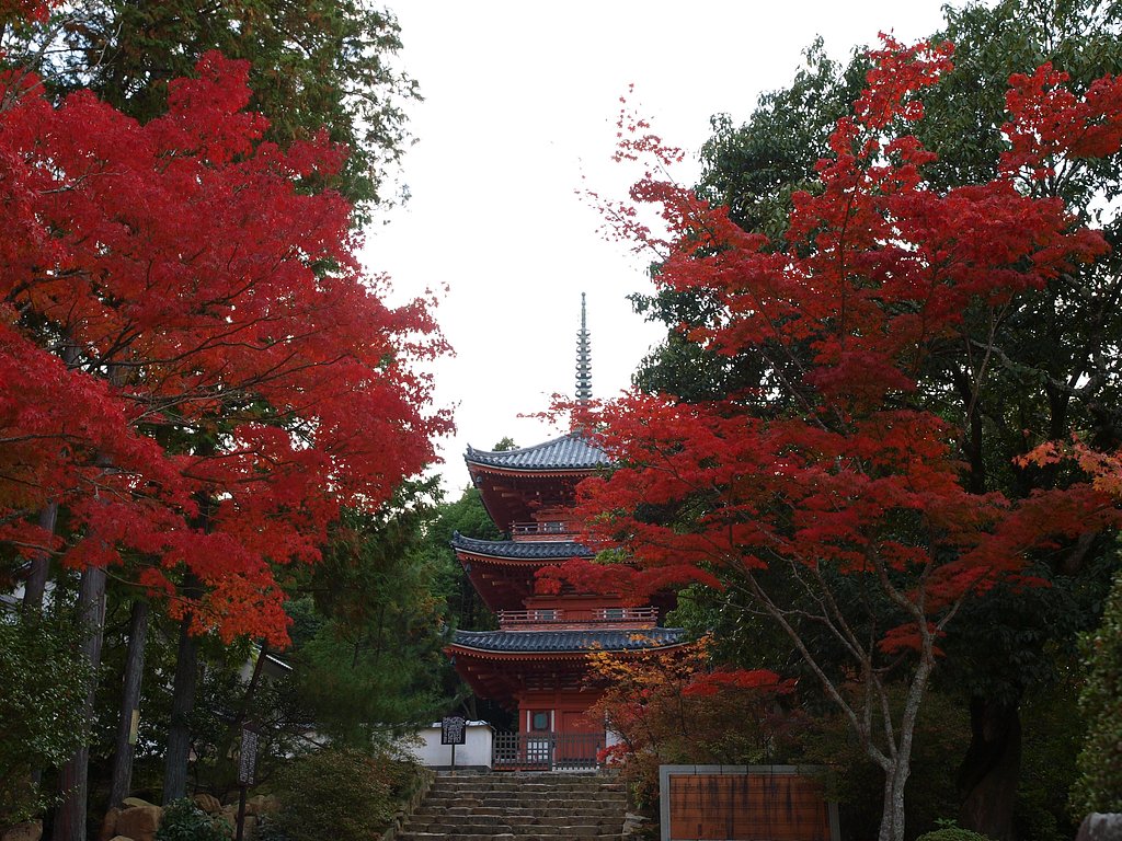 宝福寺