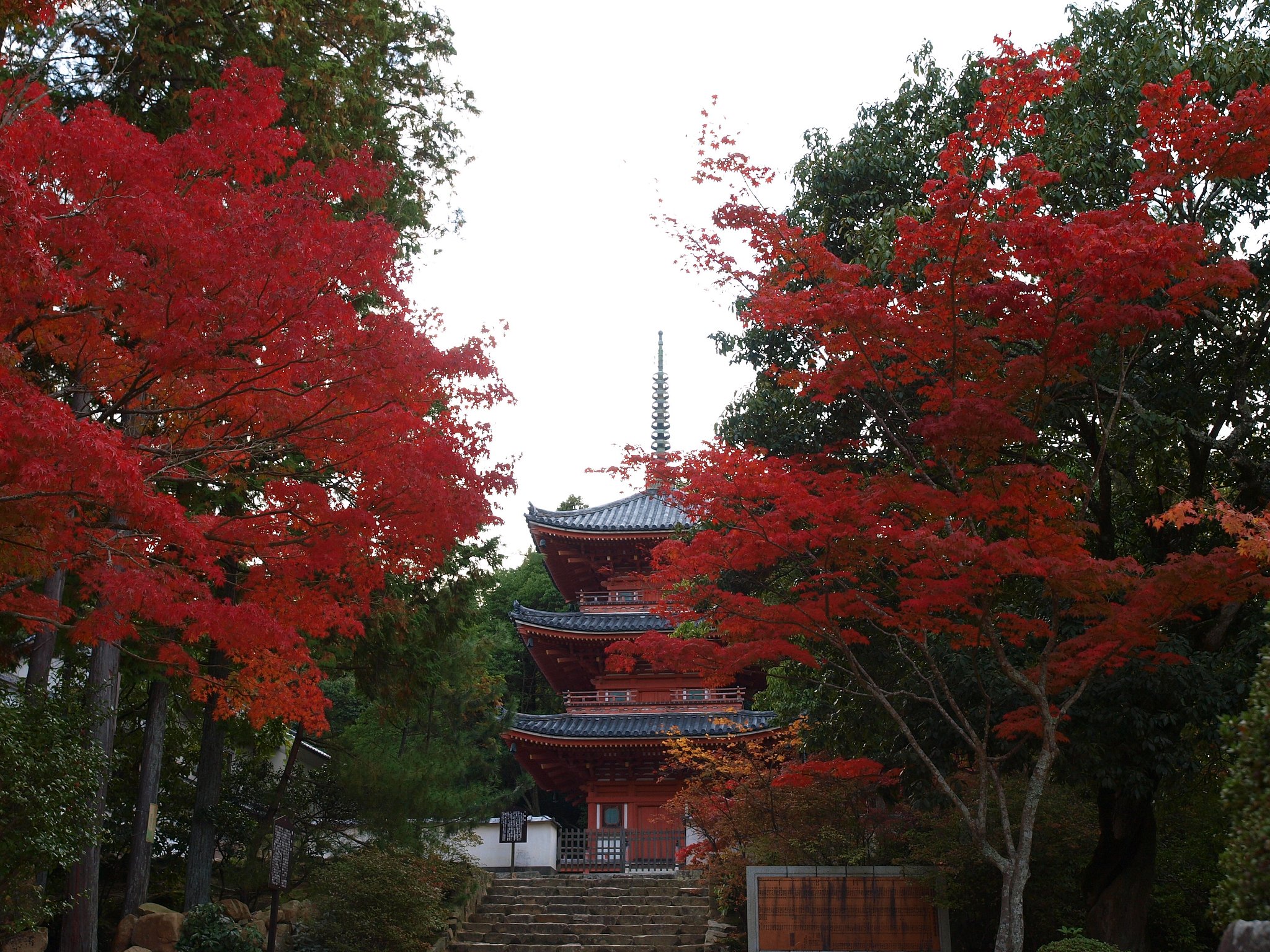 宝福寺