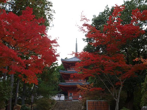 宝福寺