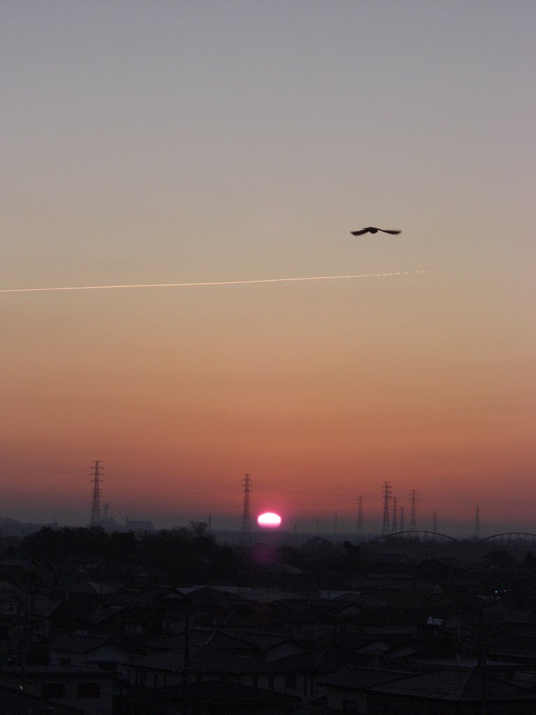 2009年39日目の朝焼け