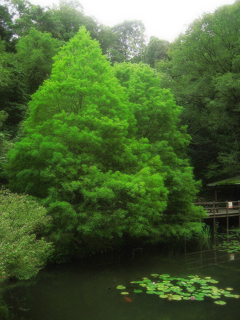 山の緑を繊細に