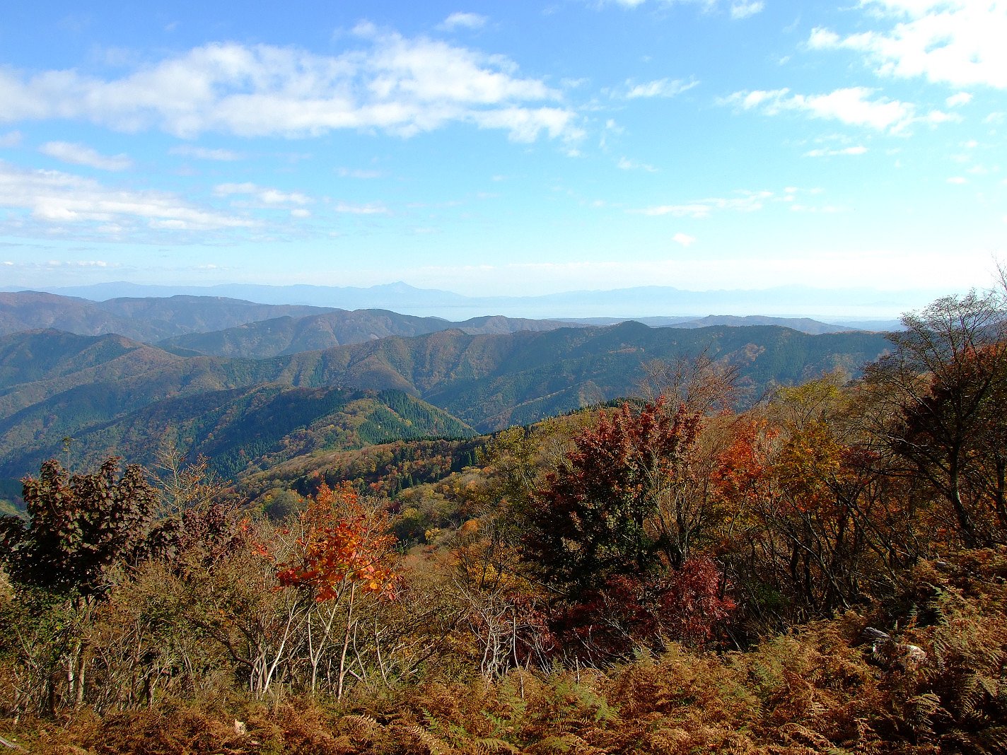久々の山歩きに行ってきました