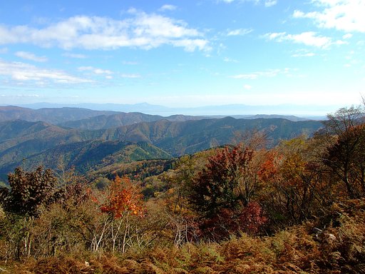 久々の山歩きに行ってきました