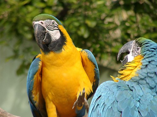 ◆冬の動物園から-12