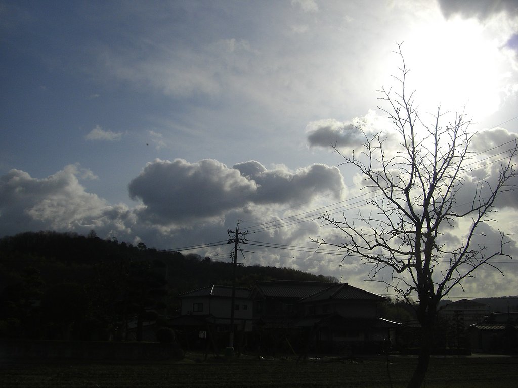 朝景色