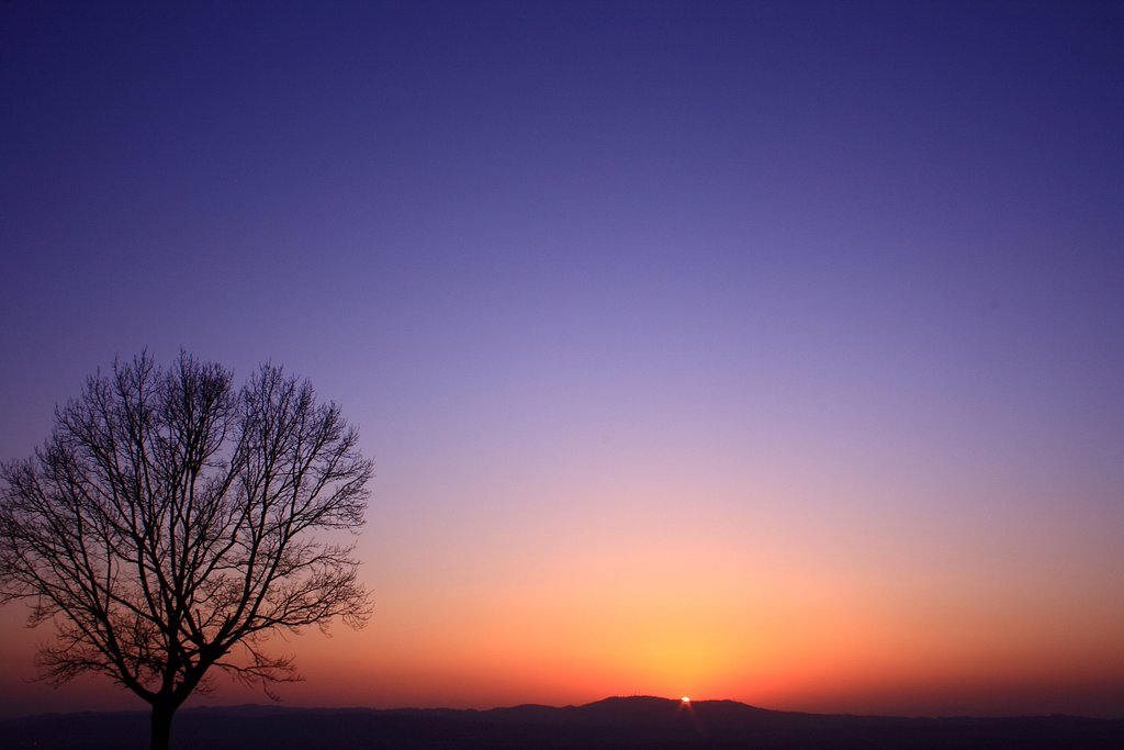 夕日に向かって