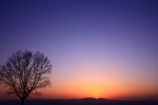 夕日に向かって