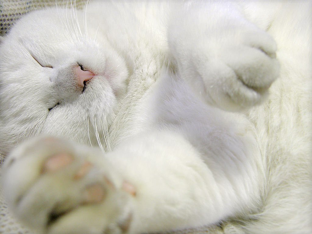 いつものことながら