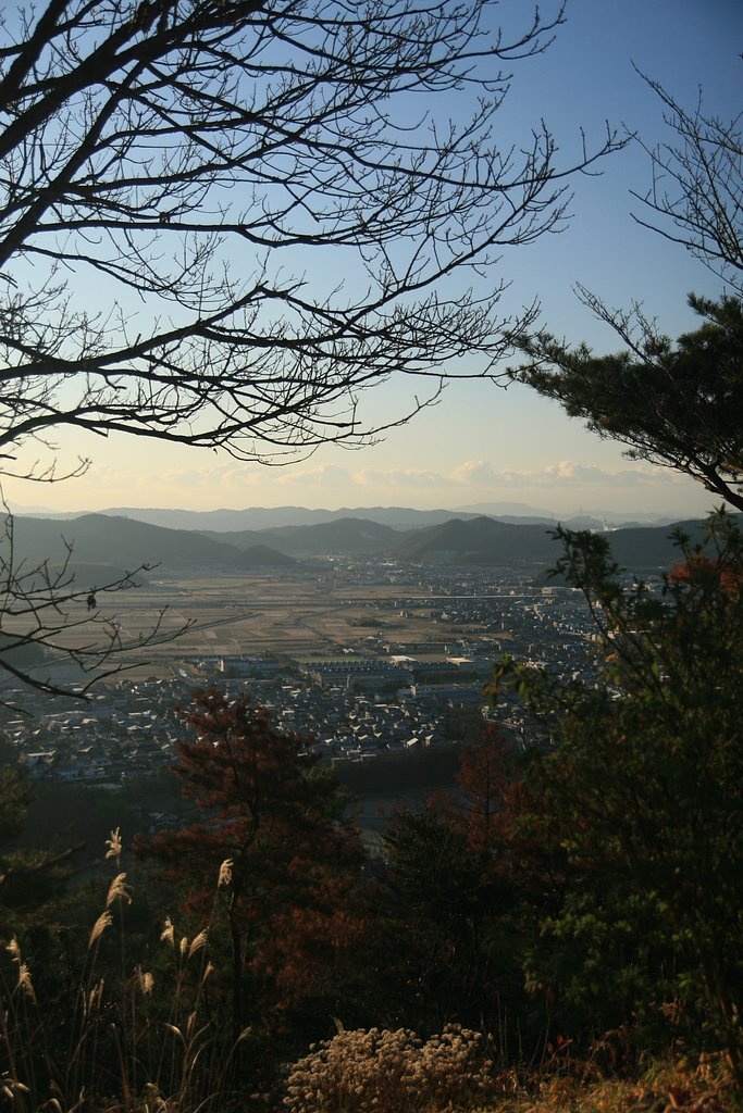 [ノスタルジー]故郷の町を望む山