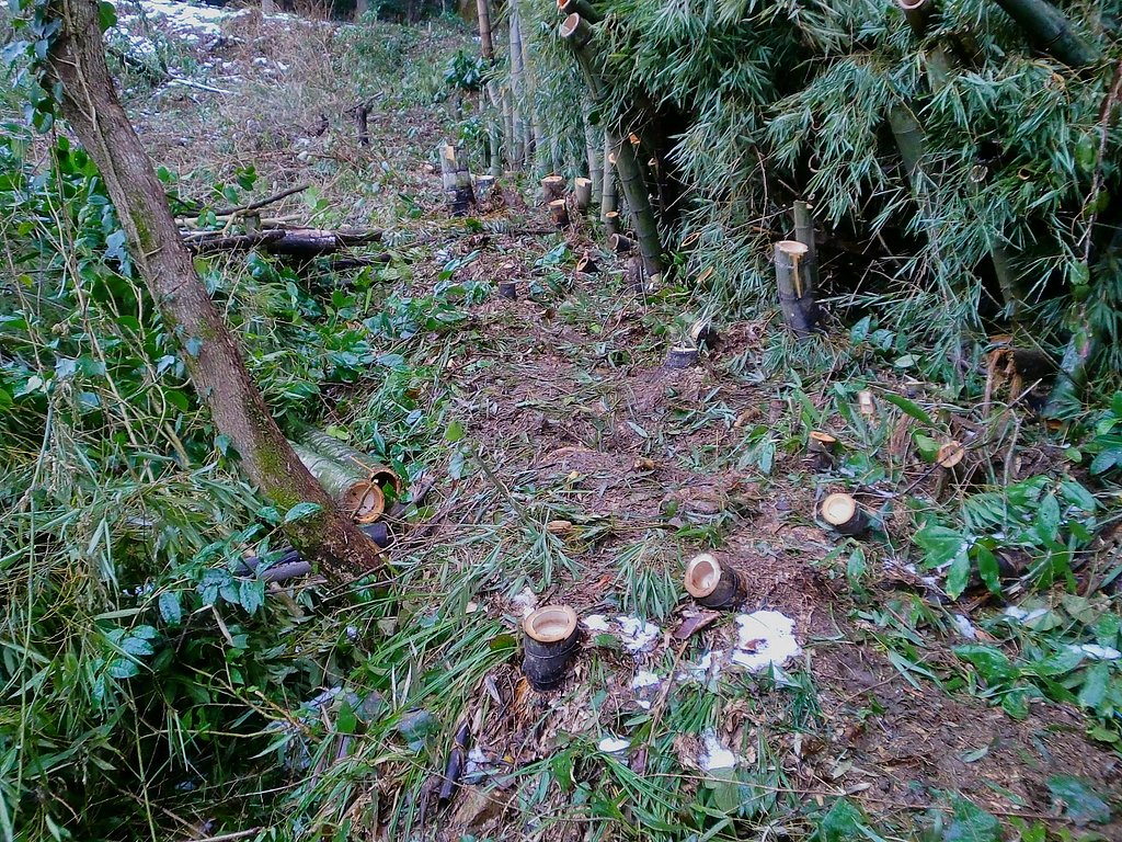 農道とから奥の畑に降りる道がつながった