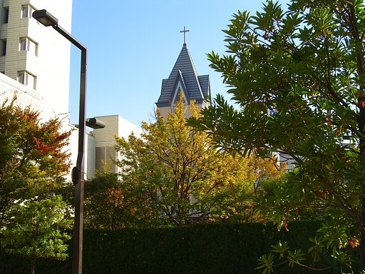 博物館とその周辺-11