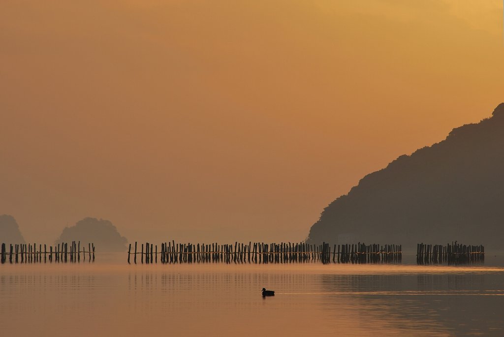 黄砂の朝