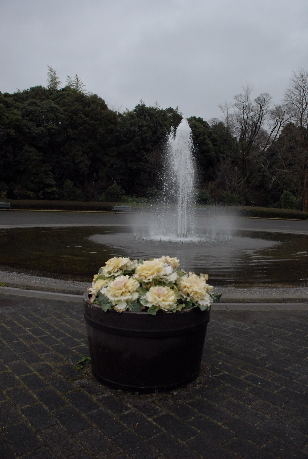雨上がり