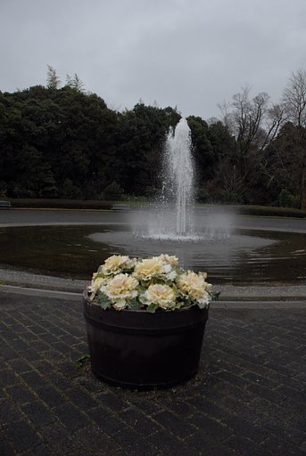 雨上がり