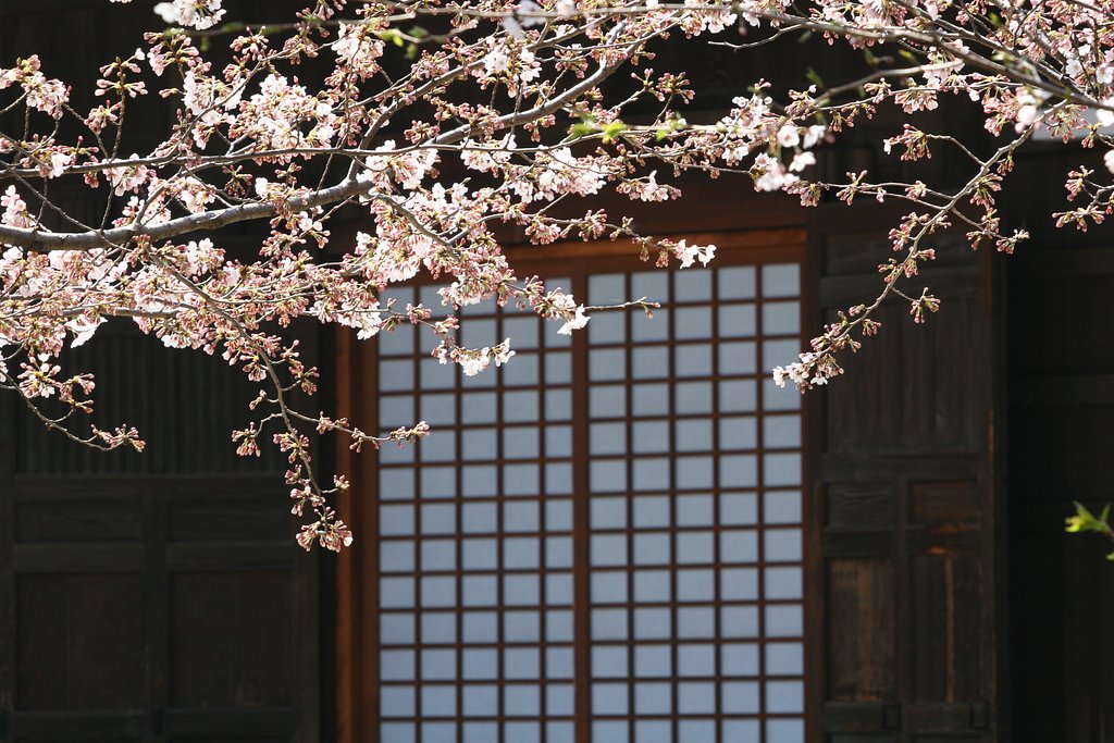 穏かな日和