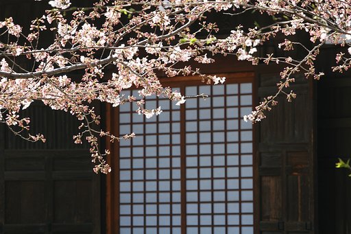 穏かな日和