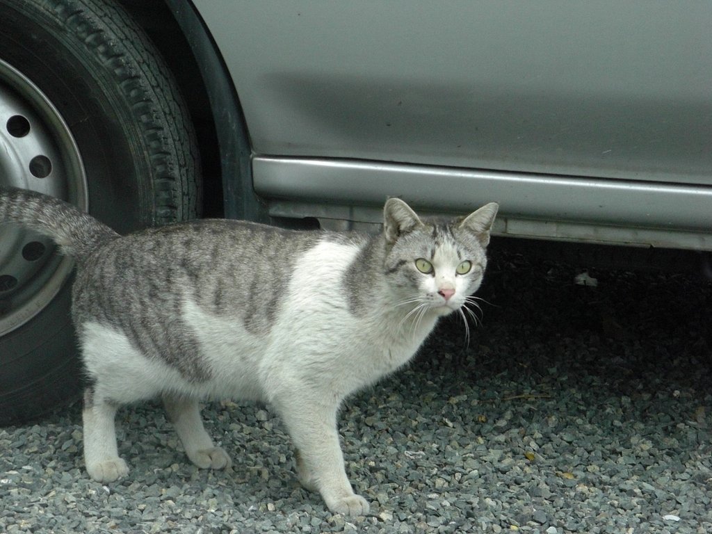 目線