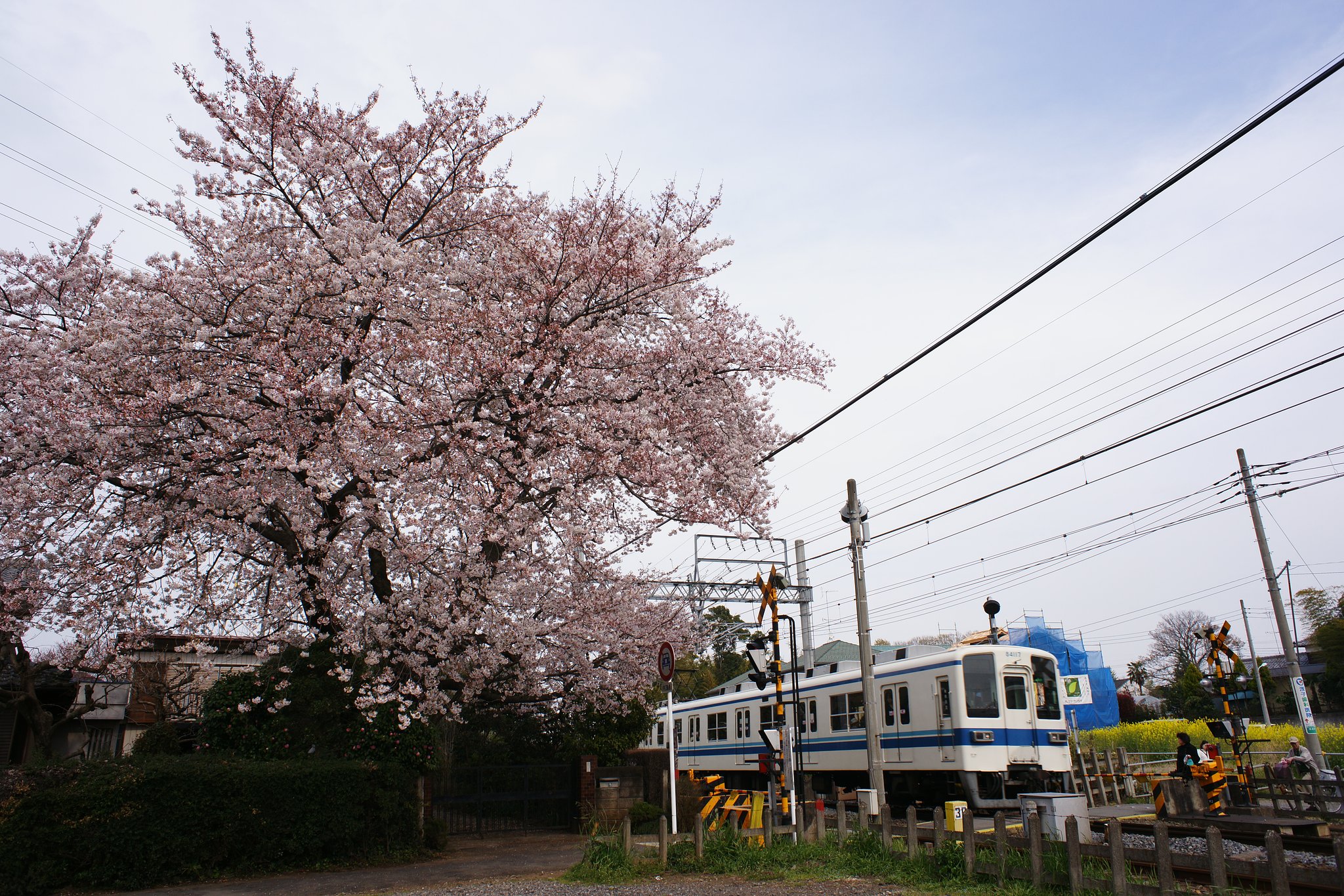 野田線