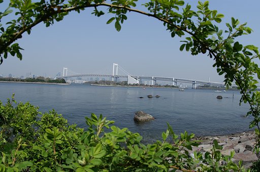 緑のアーチ