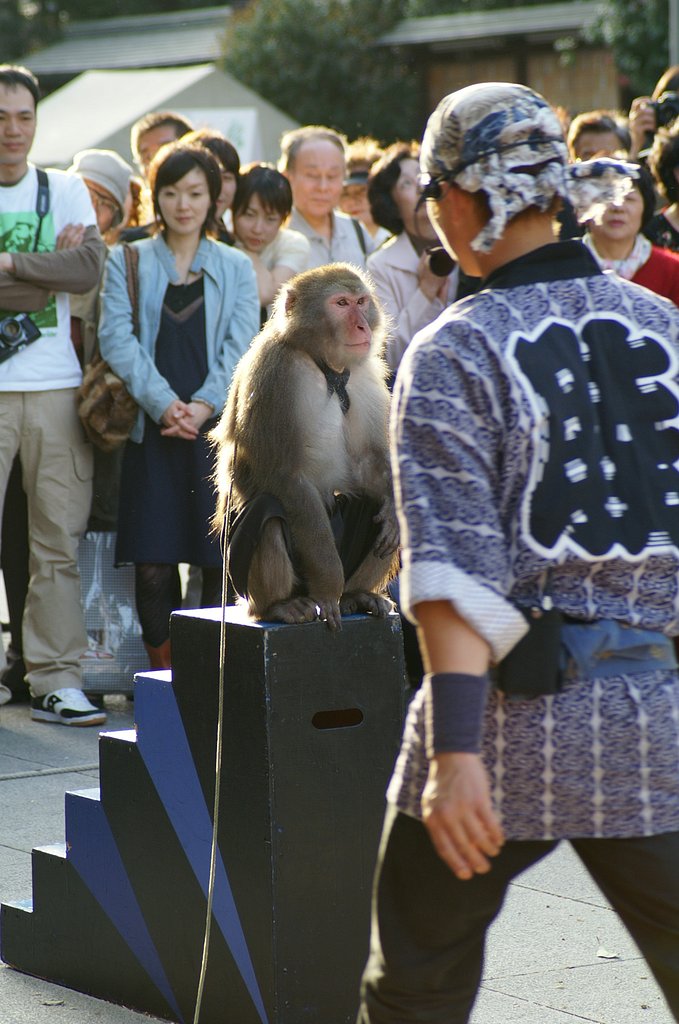 靖国神社では