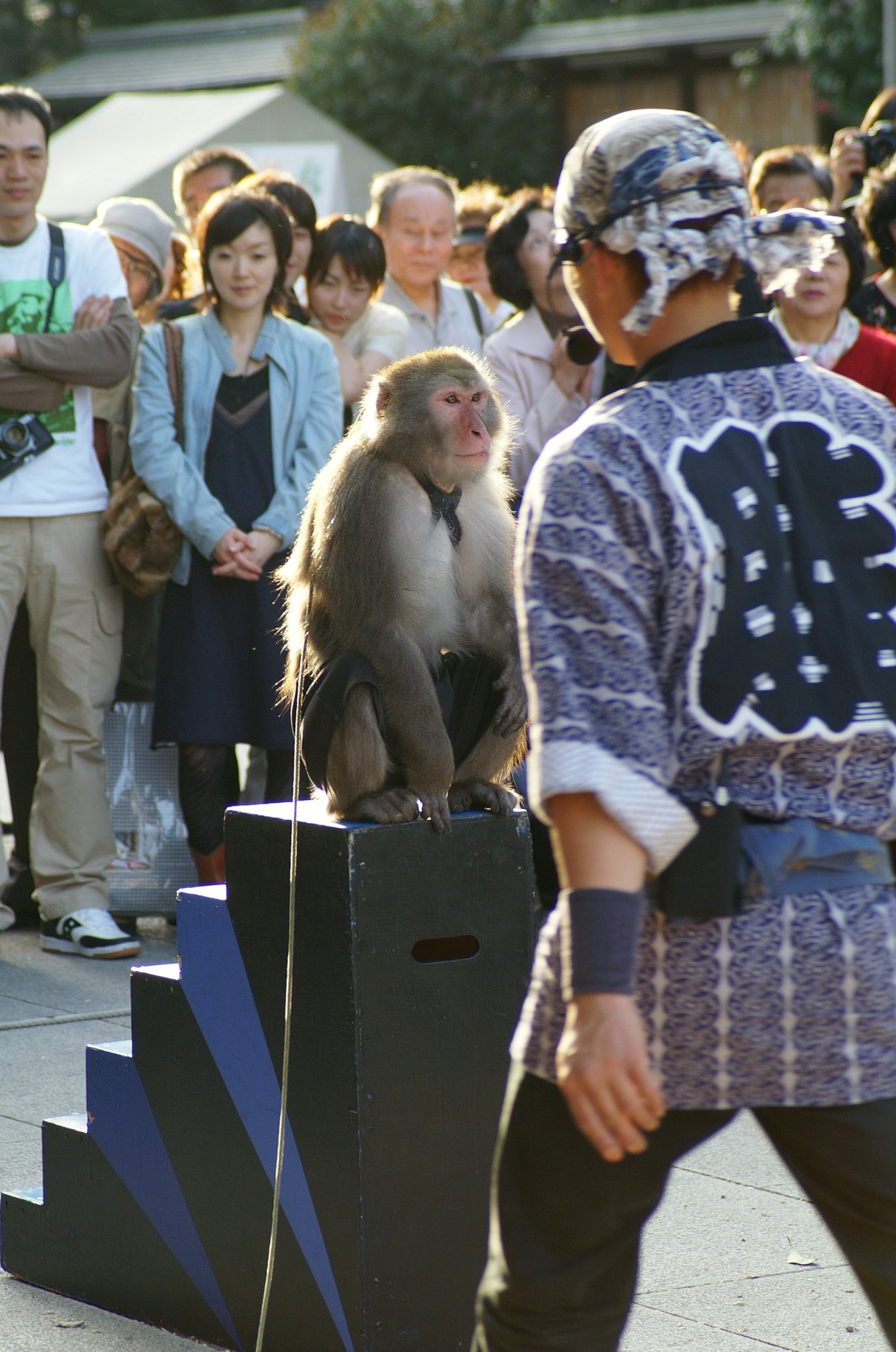 靖国神社では